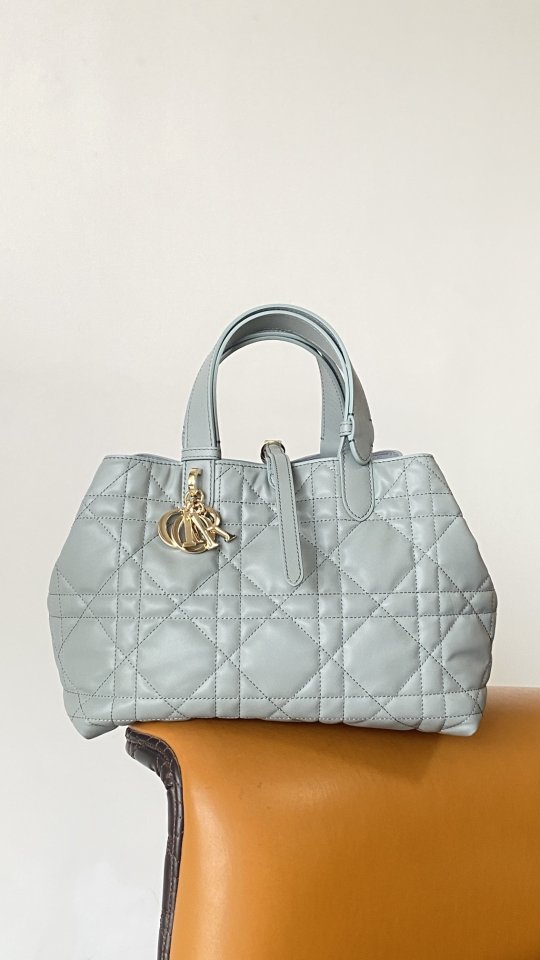 디올 투주흐 미디엄 토트백