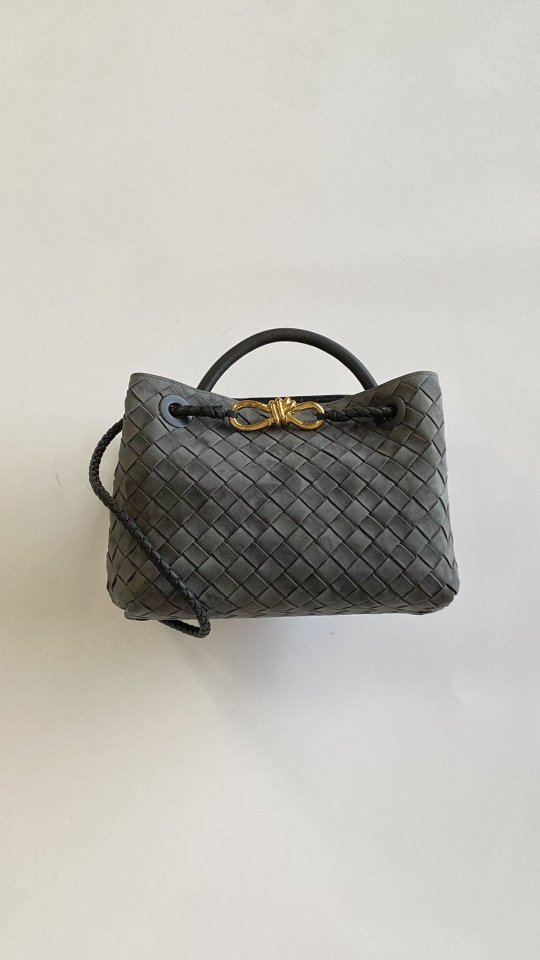 보테가 베네타 안디아모 스몰