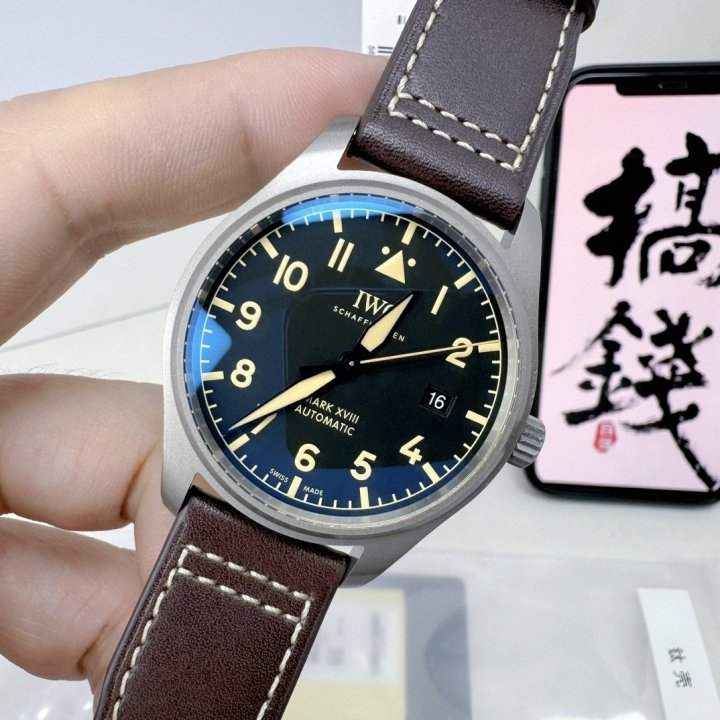 IWC 아이더블유씨 마크18 티타늄 에디션